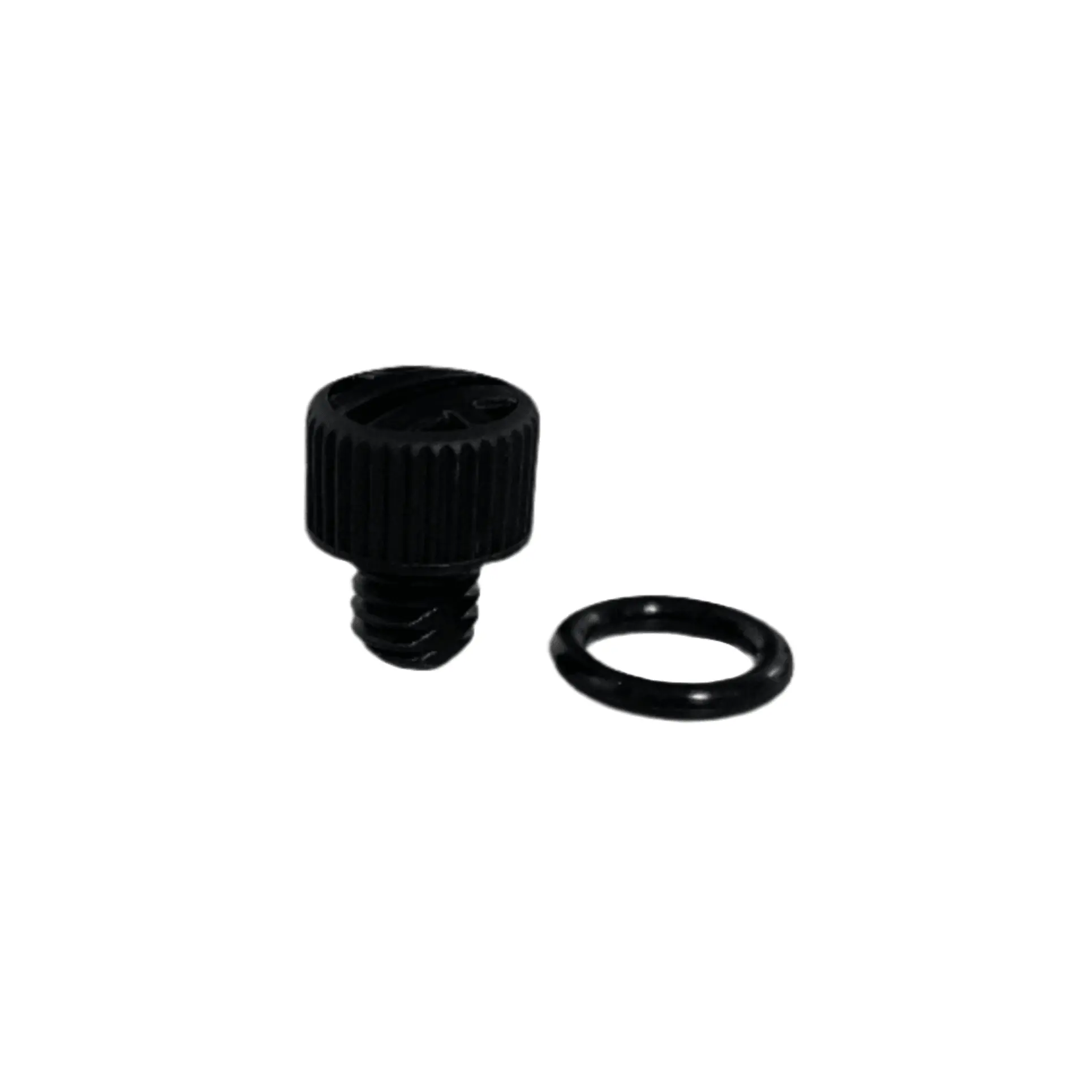 Fuel-Filter-Head-Bleeder-Screw-Roxor-2023-2024