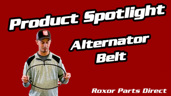 Alternator Belt for Mahindra Roxor 2018-2024 - Roxor Parts Direct